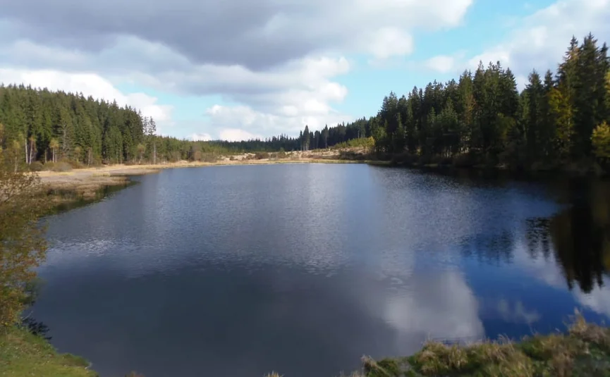 Tanner Moor Erlebnis im Natur- & Europaschutzgebiet Meer omgeven door bos onder een deels bewolkte lucht