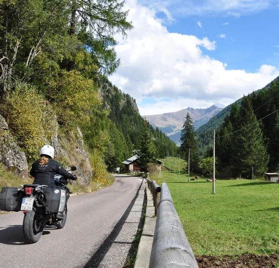 Motorradfahrer auf Bergstraße mit Wald und Bergen im Hintergrund