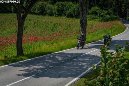 Two motorcyclists riding on a country road beside a blooming poppy field