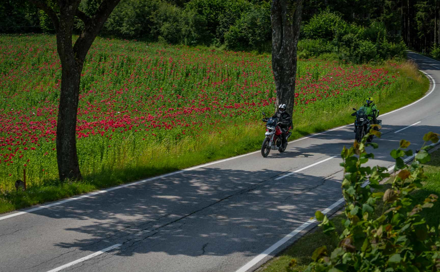 Zwei Motorradfahrer fahren auf einer Landstraße neben einem blühenden Mohnfeld