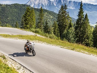 Motorradfahrer auf kurviger Bergstraße mit Tannen und Bergen im Hintergrund