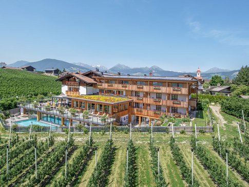 Hotel im Grünen mit Bergblick und Pool umgeben von Weinbergen