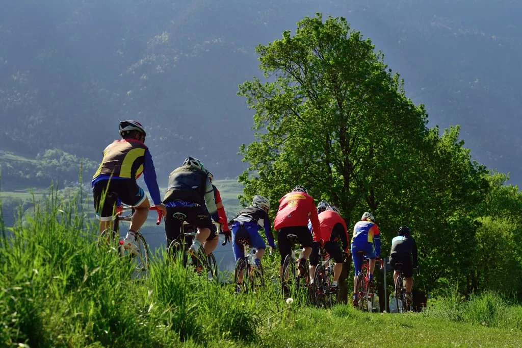 Group of cyclists riding on a green path in sunny weather