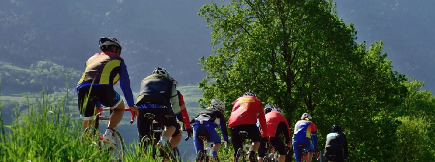 Roadbike-Wochen im Frühling & Herbst mit Guide Manfred Gruppe von Radfahrern fährt auf einer grünen Strecke bei sonnigem Wetter