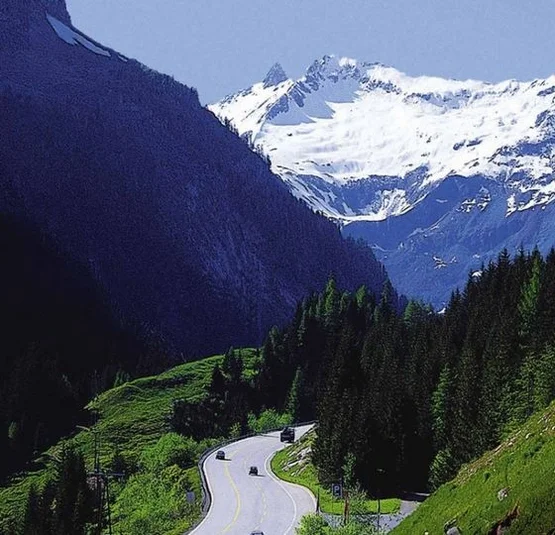 Mountain road with cars, green forests, and snow-covered peaks
