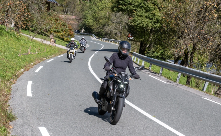 Drie motorrijders op een kronkelende landweg met bomen en vangrail