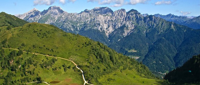 Friaul – Karnien © Hotel Ristorante Bellavista Grüne Alpenwiese mit Wanderwegen und Bergen im Hintergrund