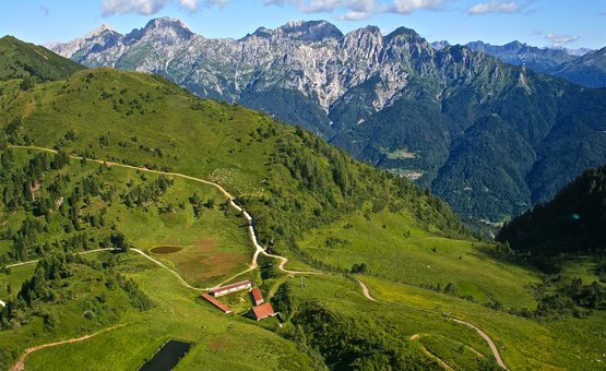 Grüne Alpenwiese mit Wanderwegen und Bergen im Hintergrund