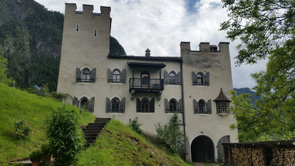 Altes Schloss mit Türmen und gotischen Fenstern auf einem bewaldeten Hügel