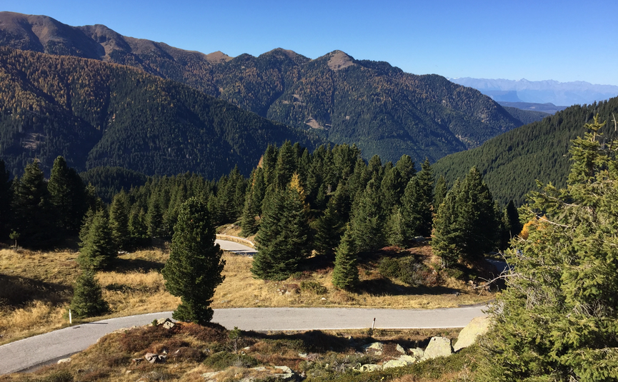 Dolomiten - der Süden Kurvige Bergstraße mit Tannen vor bewaldeten Bergen unter klarem Himmel