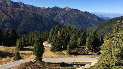 Dolomiten - der Süden Kurvige Bergstraße mit Tannen vor bewaldeten Bergen unter klarem Himmel