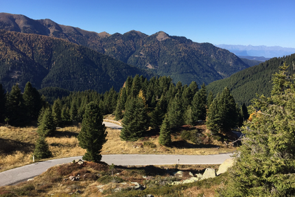 Kurvige Bergstraße mit Tannen vor bewaldeten Bergen unter klarem Himmel