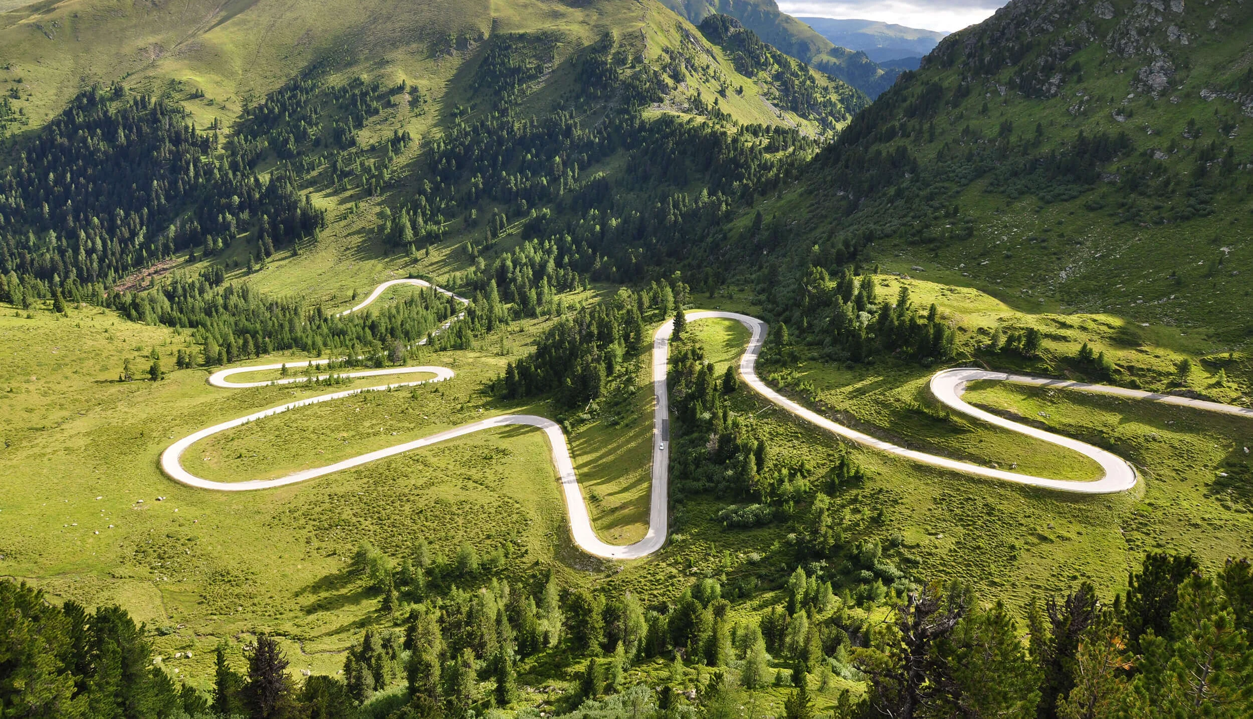 Tour planner Winding mountain road through green hills and forest
