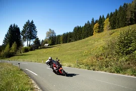 The Carinthia Heritage Ride Motorradfahrer auf Landstraße mit Wiesen und Bäumen im Hintergrund