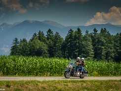 3 Zinnen – Kronplatz – Eisacktal © Moppetfoto.de Zwei Motorradfahrer fahren auf Landstraße vor Wald und Bergen