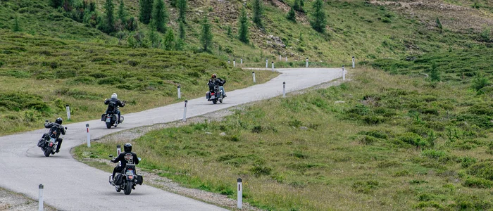 Vier Motorradfahrer fahren eine kurvige Straße in einer grünen Berglandschaft