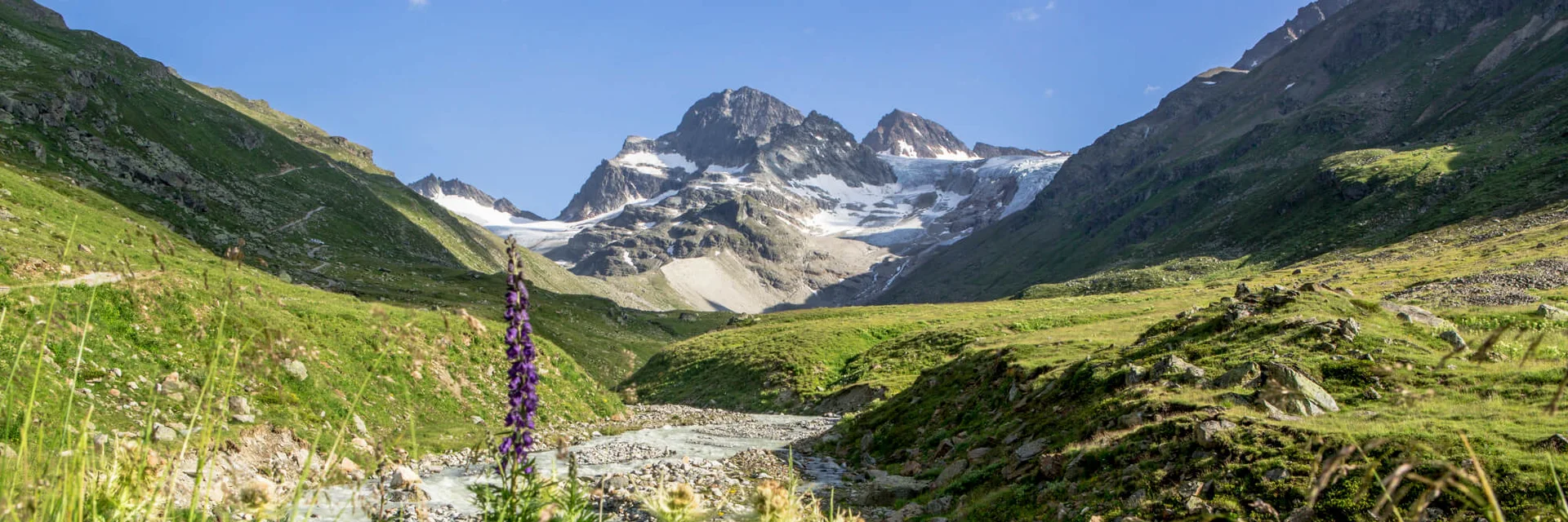 Mountain landscape with river and wildflowers under clear sky