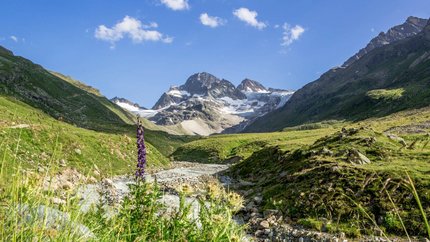Montafon – Silvretta © Montafon Tourismus GmbH - Stefan Kothner Gebirgslandschaft mit Fluss und Wildblumen unter klarem Himmel