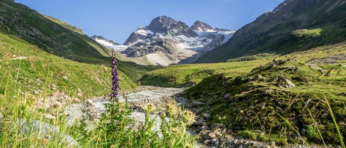 Hotel Both *** © Montafon Tourismus GmbH - Stefan Kothner Gebirgslandschaft mit Fluss und Wildblumen unter klarem Himmel