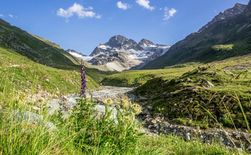 Motorradurlaub in Vorarlberg © Montafon Tourismus GmbH - Stefan Kothner Gebirgslandschaft mit Fluss und Wildblumen unter klarem Himmel