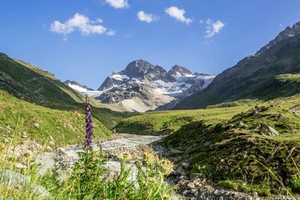 Gebirgslandschaft mit Fluss und Wildblumen unter klarem Himmel