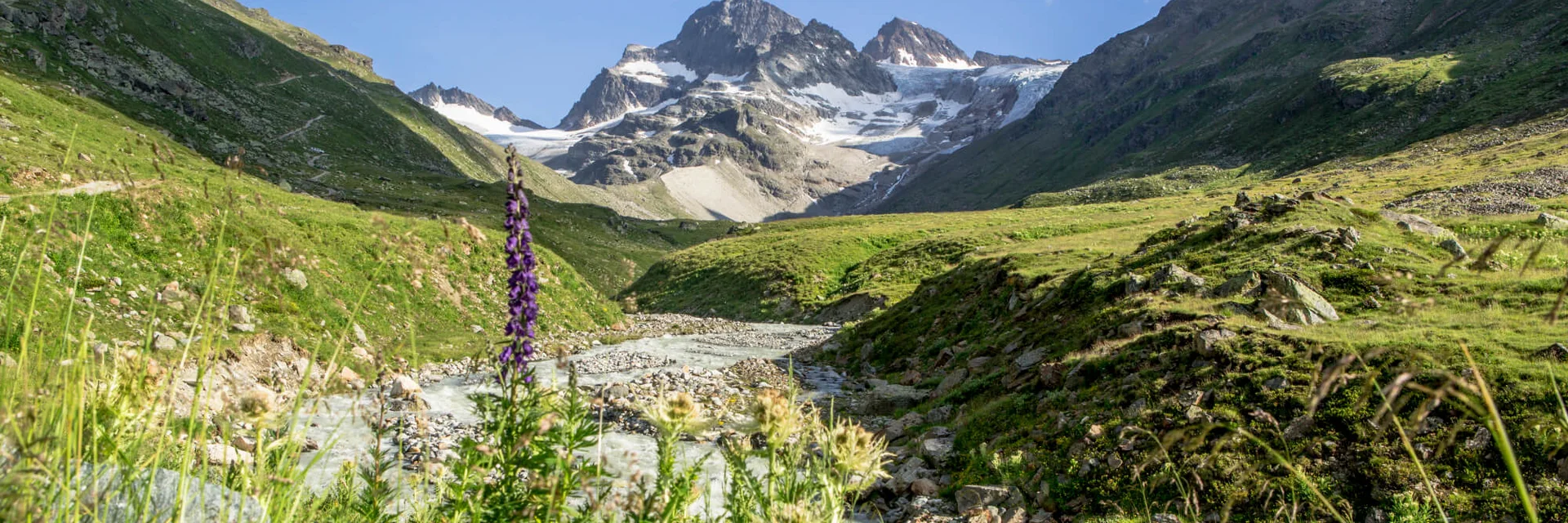 Gebirgslandschaft mit Fluss und Wildblumen unter klarem Himmel