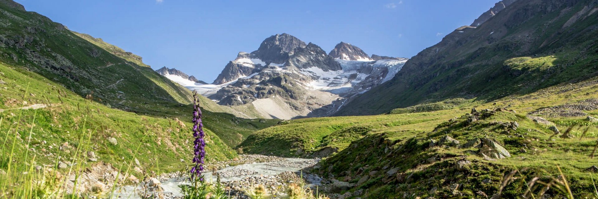 Hotel Both *** © Montafon Tourismus GmbH - Stefan Kothner Gebirgslandschaft mit Fluss und Wildblumen unter klarem Himmel
