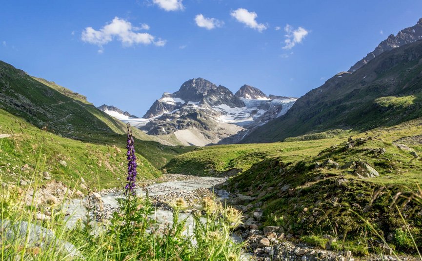 Motorvakantie in Montafon - Silvretta © Montafon Tourismus GmbH - Stefan Kothner Berglandschap met rivier en wilde bloemen onder heldere lucht