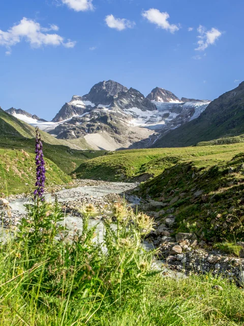 Mountain landscape with river and wildflowers under clear sky