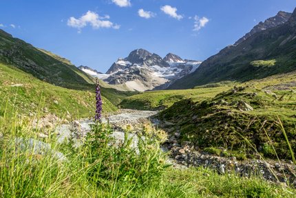 Gebirgslandschaft mit Fluss und Wildblumen unter klarem Himmel