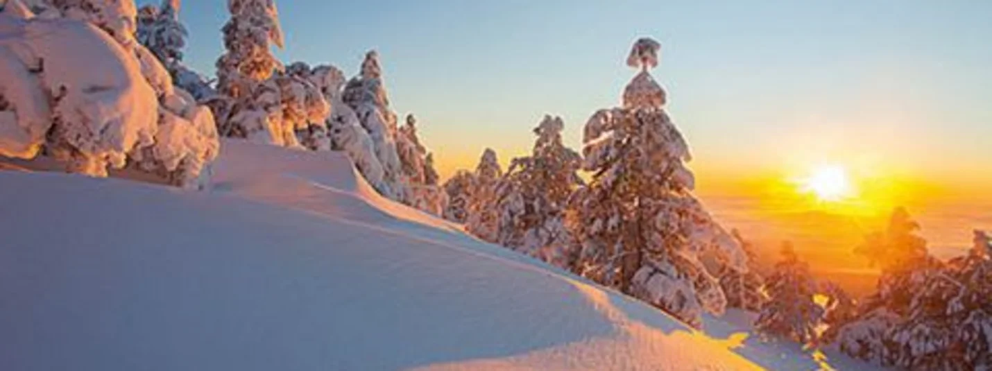 Sonnen-Skilauf Verschneite Bäume und unberührte Schneelandschaft bei Sonnenaufgang