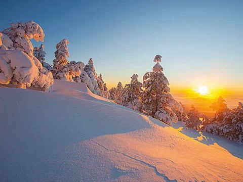 Verschneite Bäume und unberührte Schneelandschaft bei Sonnenaufgang