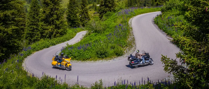 Zwei Motorräder auf einer kurvigen Bergstraße in grüner Alpenlandschaft
