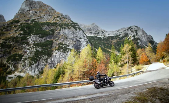 Motorradfahrer auf kurviger Bergstraße mit herbstlichen Bäumen und Felsen