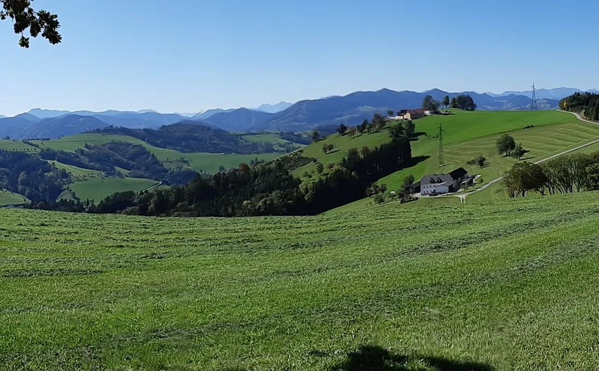 Pre-Alps ...the curvy one Green hills with mountains in the background and a path on the right
