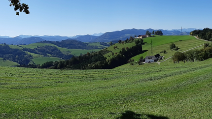 Voralpen ...die Kurvige Grüne Hügel mit Bergen im Hintergrund und einem Weg rechts