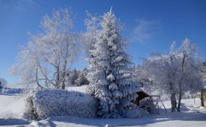 Kraftquelle Naturparadies Verschneite Bäume und ein Haus unter klarem blauem Himmel im Winter