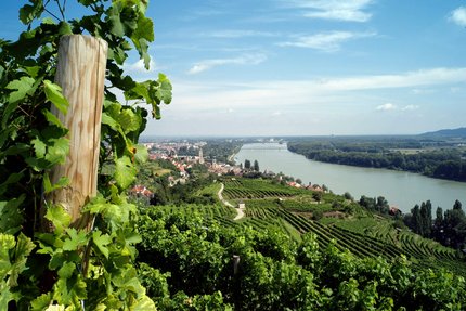 Blick auf eine Weinberglandschaft entlang eines Flusses mit Dorf und Brücke