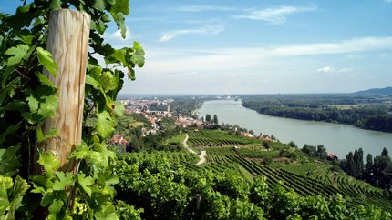 Wachau © Winzer Krems - K.M. Westermann Blick auf eine Weinberglandschaft entlang eines Flusses mit Dorf und Brücke