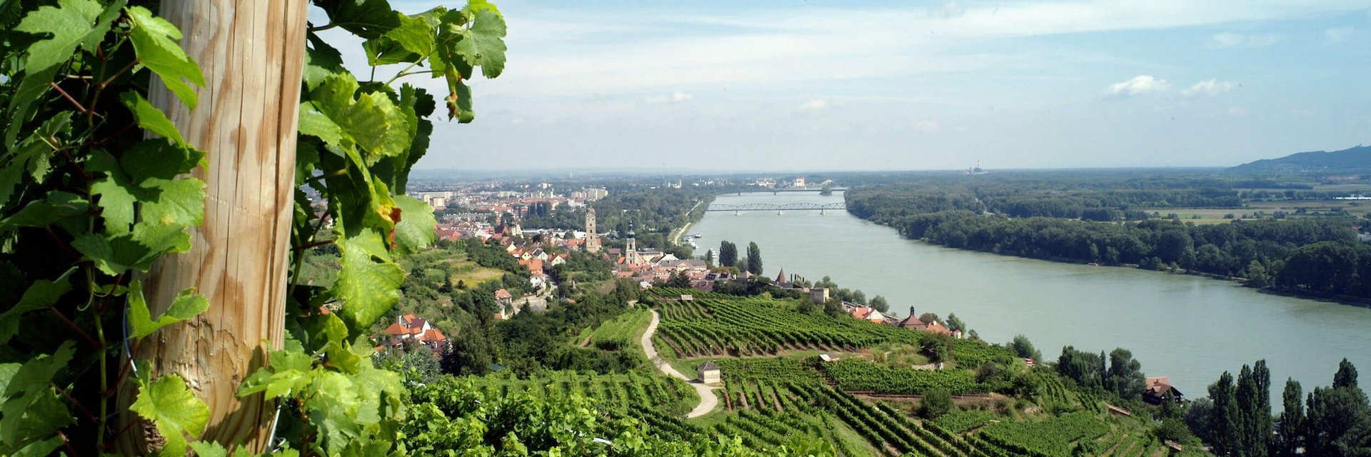 Blick auf eine Weinberglandschaft entlang eines Flusses mit Dorf und Brücke