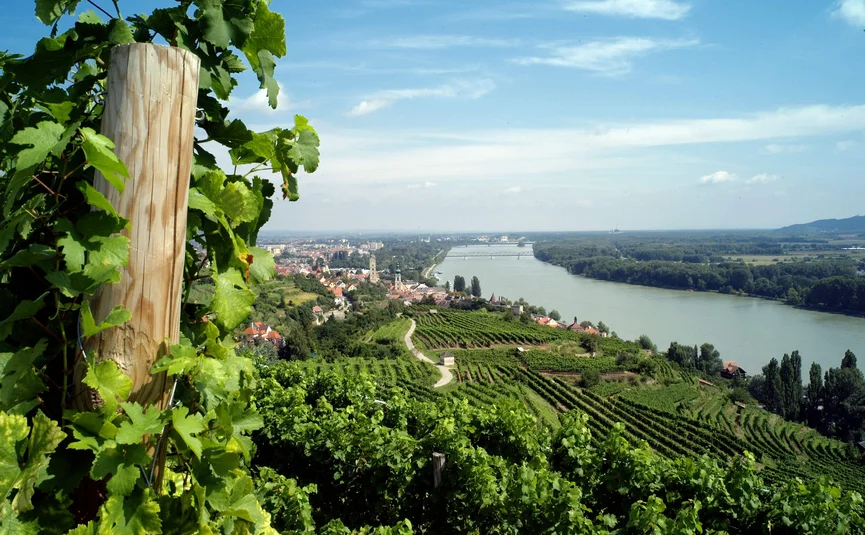 Motorbike holiday in the Wachau © Winzer Krems - K.M. Westermann View of vineyard landscape along river with village and bridge