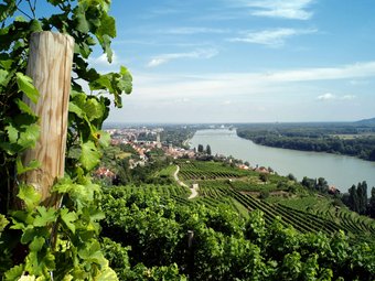 Blick auf eine Weinberglandschaft entlang eines Flusses mit Dorf und Brücke