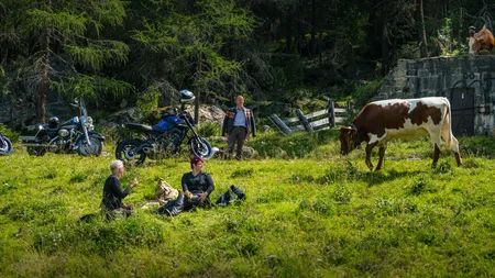 Mensen rusten op een weiland met motorfietsen en koeien bij het bos
