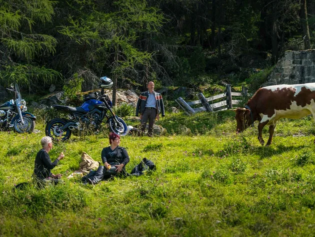 Mensen rusten op een weiland met motorfietsen en koeien bij het bos