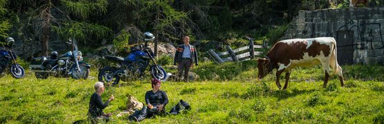 Motorradurlaub in Südtirol und den Dolomiten © Moppetfoto.de Menschen pausieren auf einer Wiese neben Motorrädern und Kühen im Wald