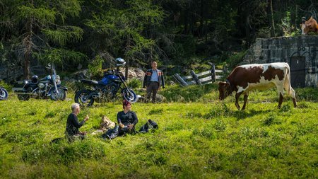 Qualitätsversprechen © Moppetfoto.de Menschen pausieren auf einer Wiese neben Motorrädern und Kühen im Wald
