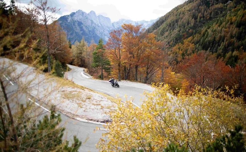 Motorcyclist on winding mountain road through autumn forest