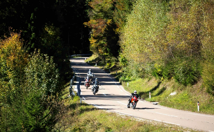 Kozjansko Curves & Posavje Roads Tour Motorcyclists riding on winding road through forested area