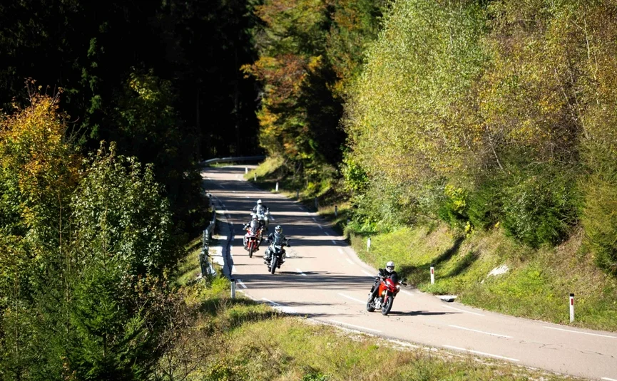 Motorrijders op kronkelende weg door bosrijk gebied