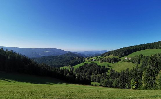 Motorradurlaub im Grenzgebiet Oststeiermark-Südburgenland © Leberzipf Didi Grüne Hügel, Wald und klare blaue Himmel